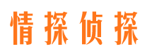 修水市婚外情调查